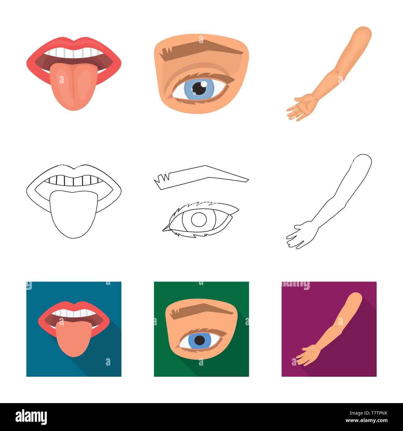 Vector design of body and part icon. Set of body and anatomy stock ...