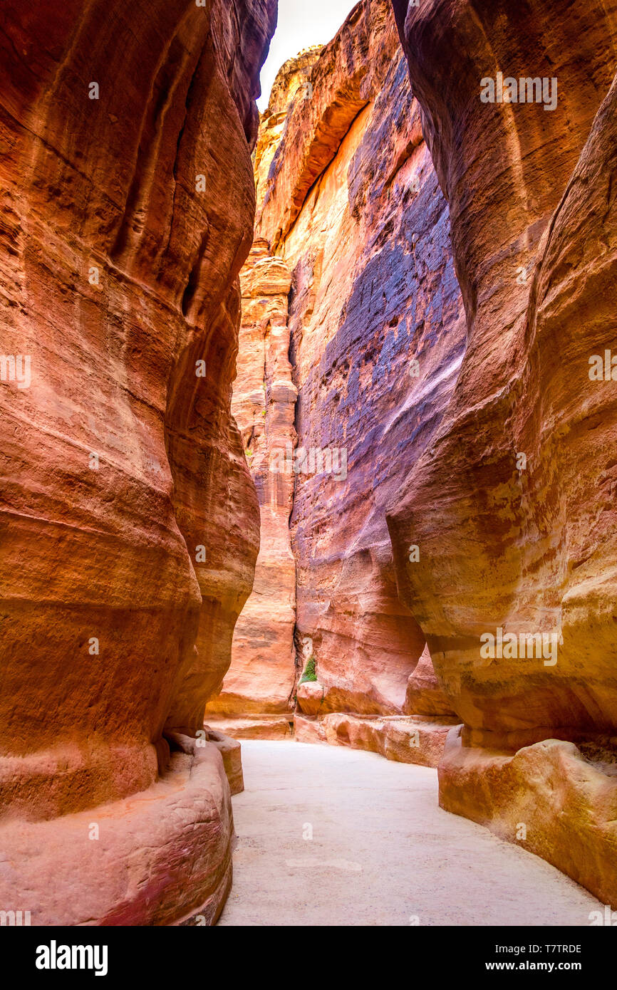 Amazing canyon of famous Petra, Jordan Stock Photo - Alamy