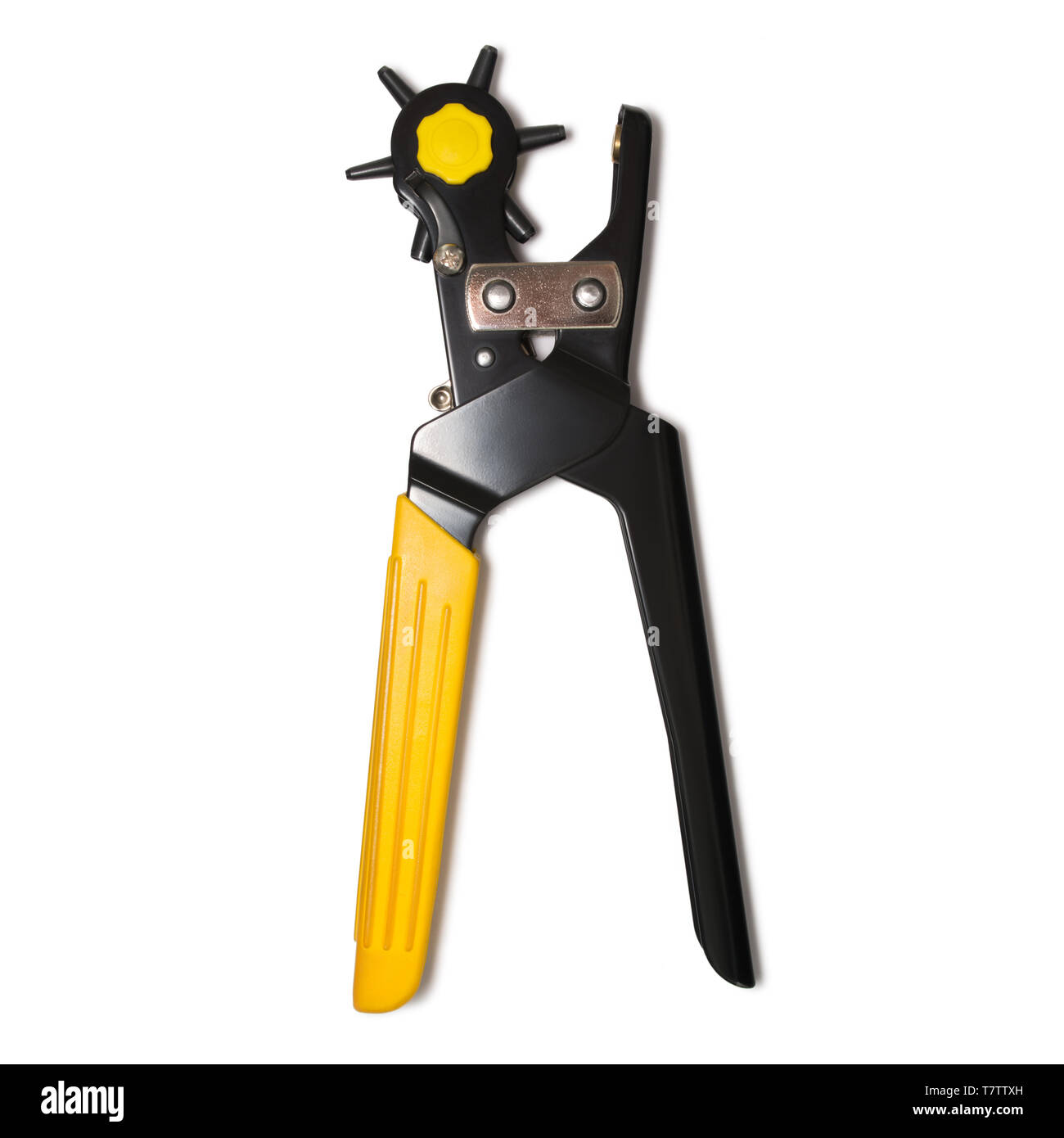 60+ Leather Hole Punch Stock Photos, Pictures & Royalty-Free Images -  iStock
