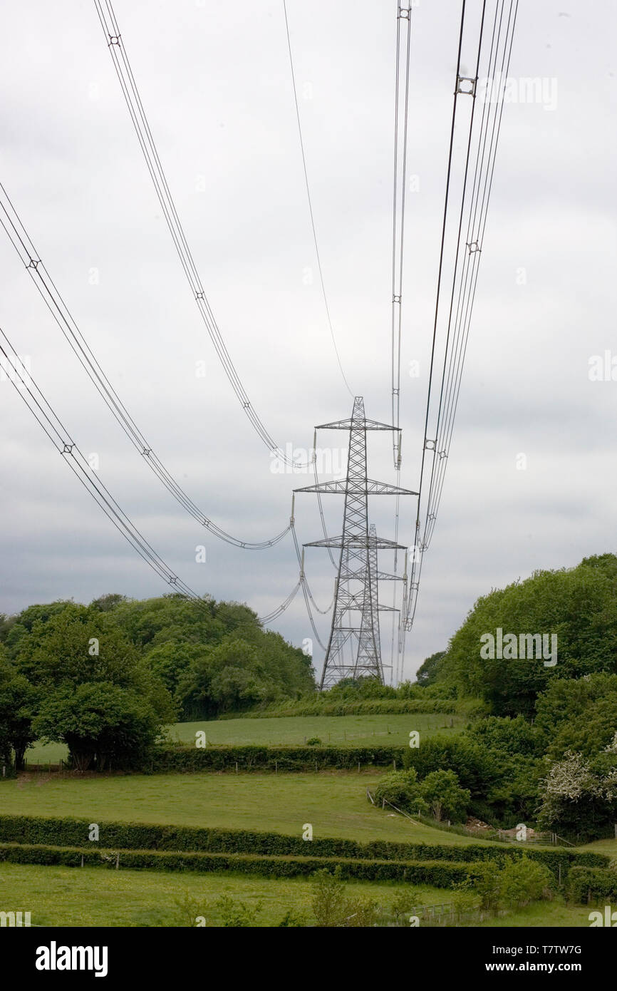 National Grid powerlines invade the country near Hambledon, Hampshire, England, UK Stock Photo
