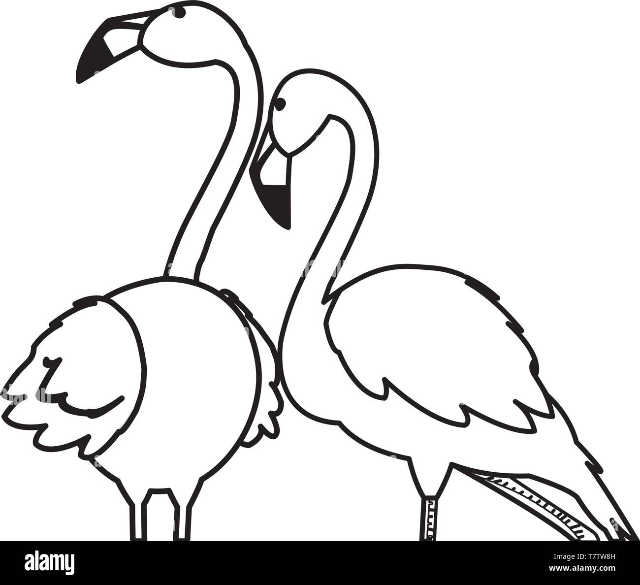 exotic flemish couple birds with heads up vector illustration design