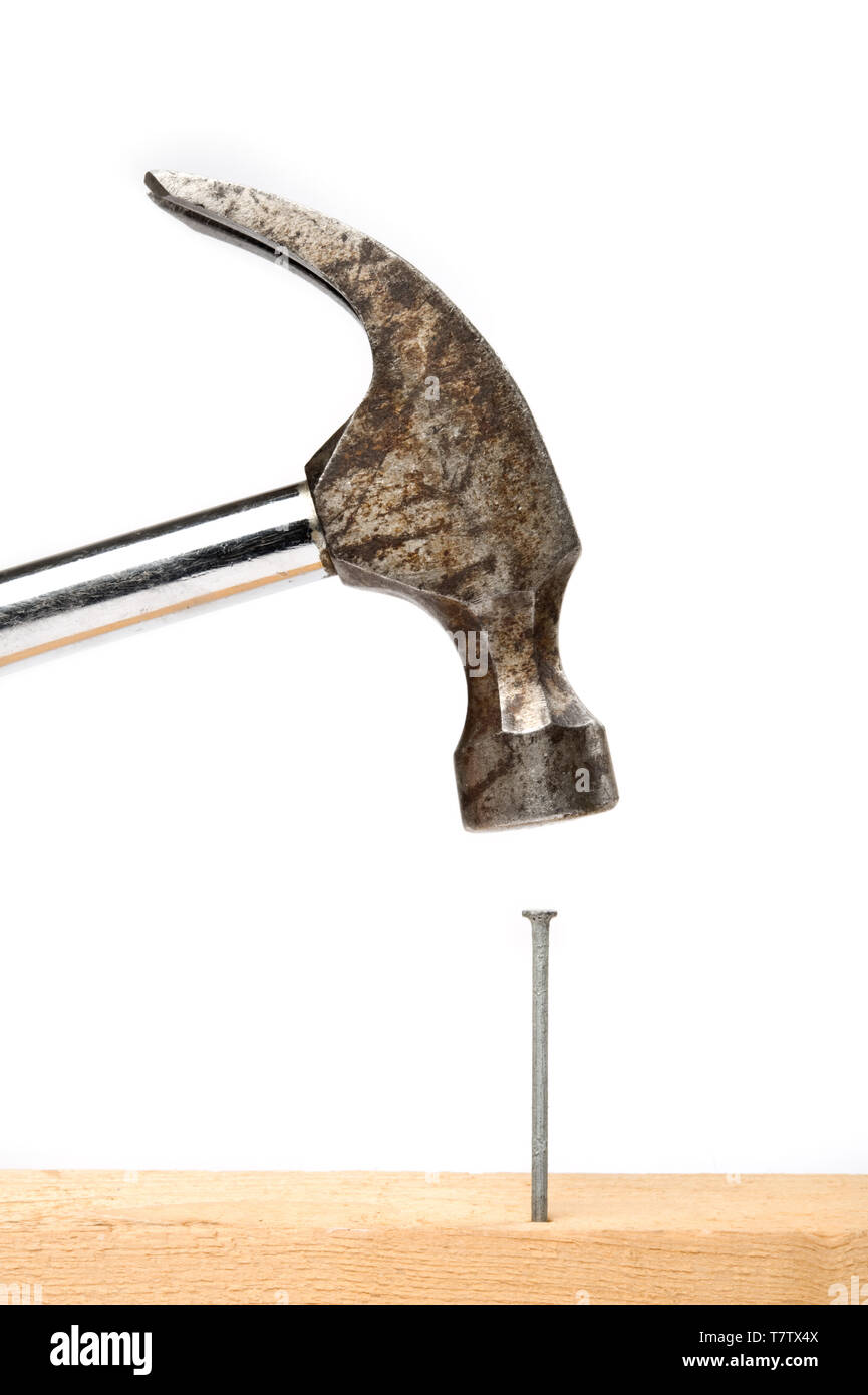 Hammer about to strike a nail hires stock photography and images Alamy
