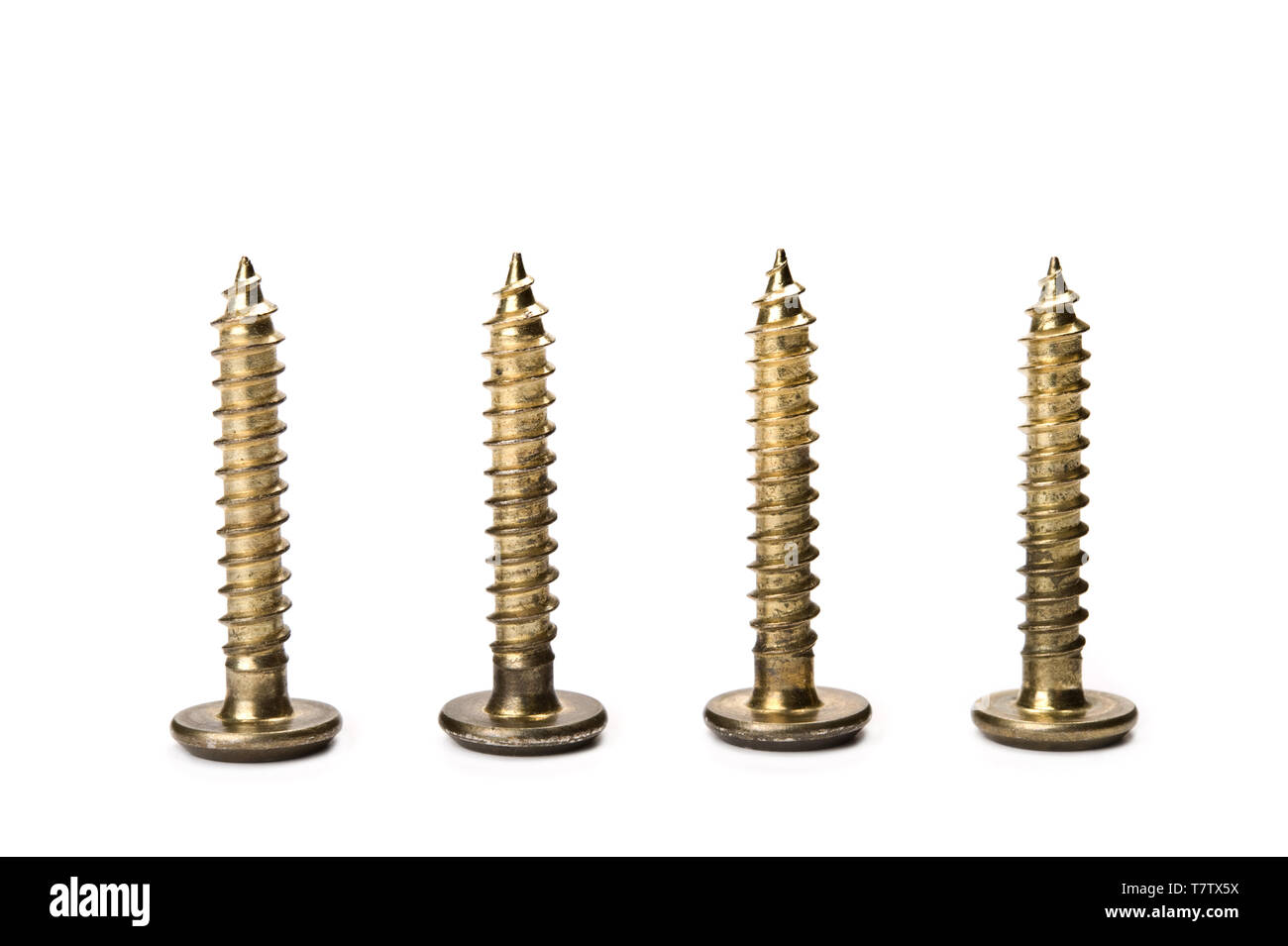 Screws on white background. Stock Photo