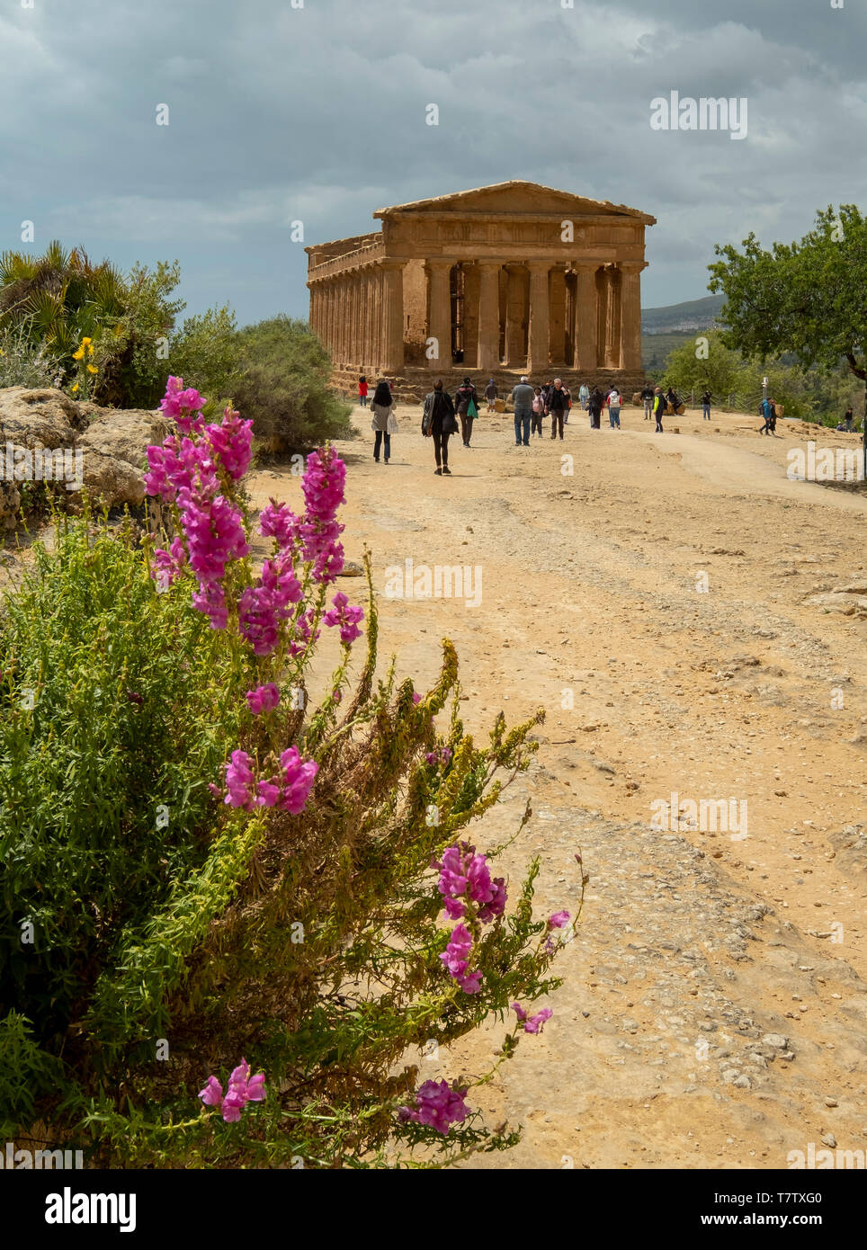 Temple of Concordia, Valley of the Temples, Agrigento, Sicily, Italy Stock Photo