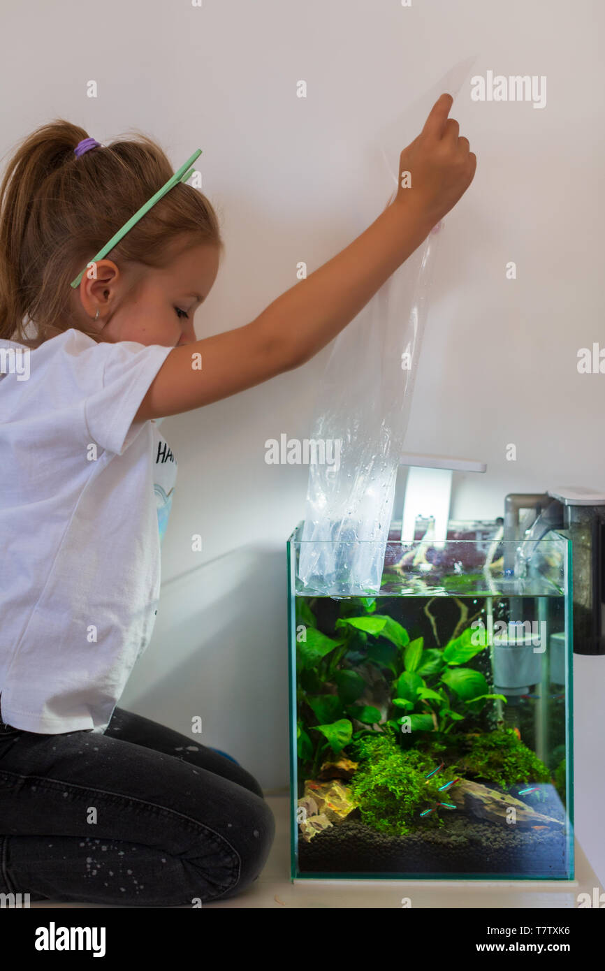 Cheerful little girl looking at a young fish in an aquarium with colorful algae in an aquarium Stock Photo