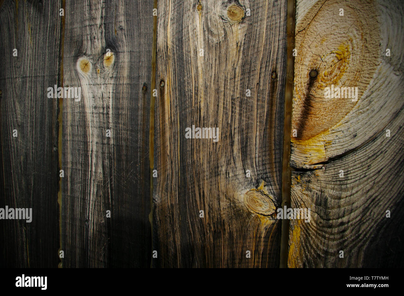 Wood with Knots Stock Photo Alamy