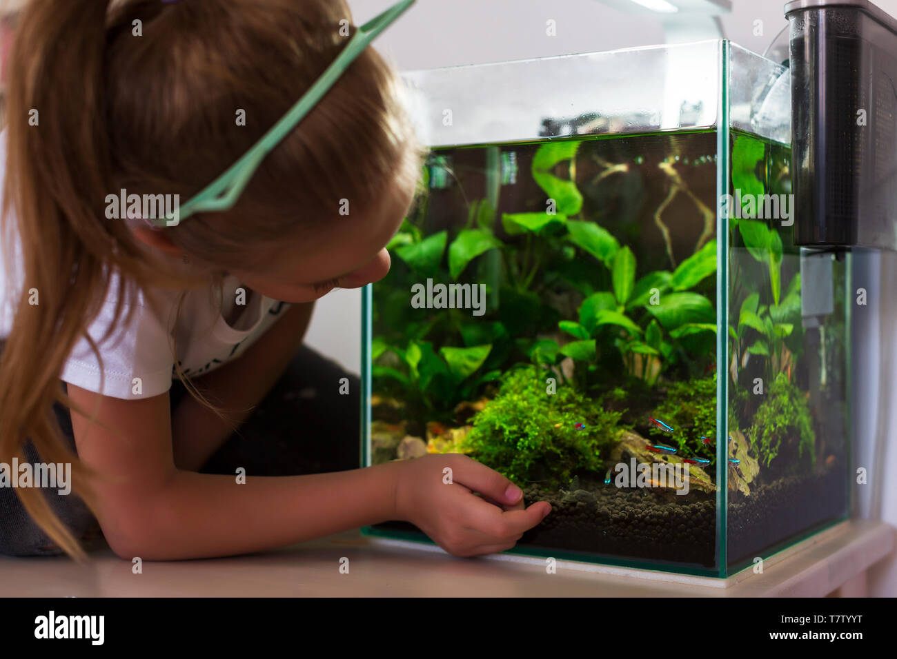 Cute little girl looking at fish in aquarium Stock Photo