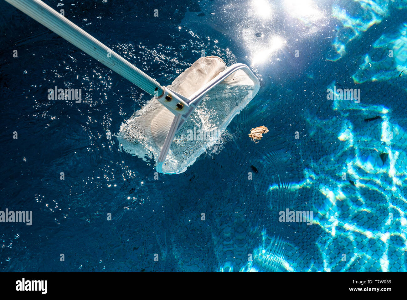 Pool Net Leaf Skimmer Rake in summer Stock Photo Alamy