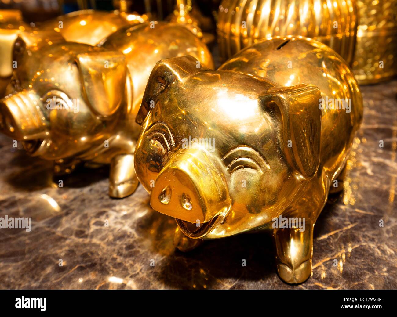 Lucky Gold Piggy Bank