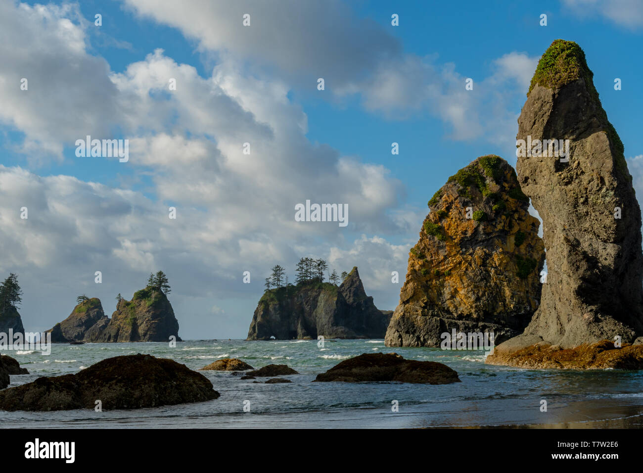 Point of Arches 9Olympic National Park Washington State – Viaggiatore.net