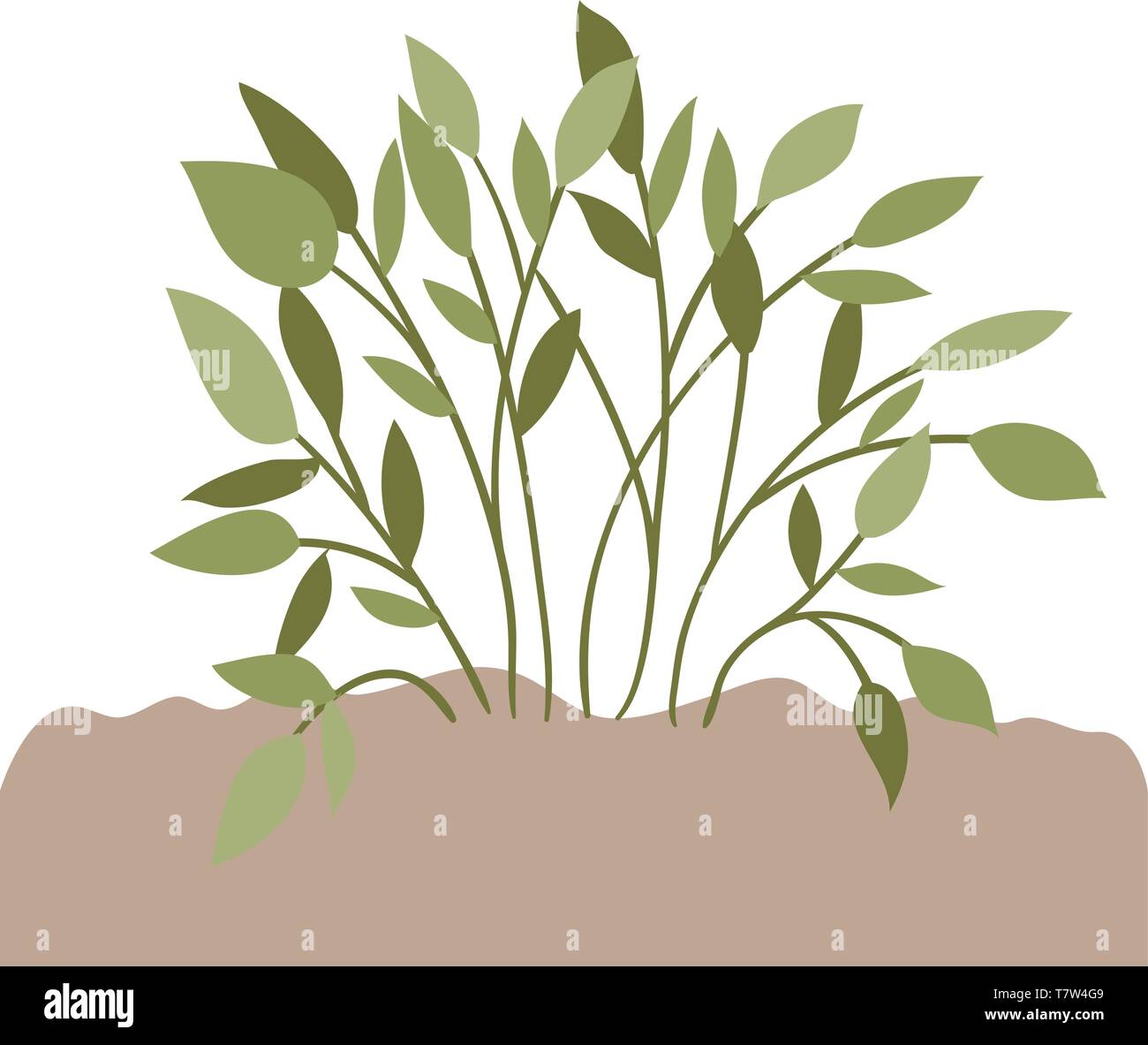 plant in landscape isolated icon Stock Vector Image & Art - Alamy