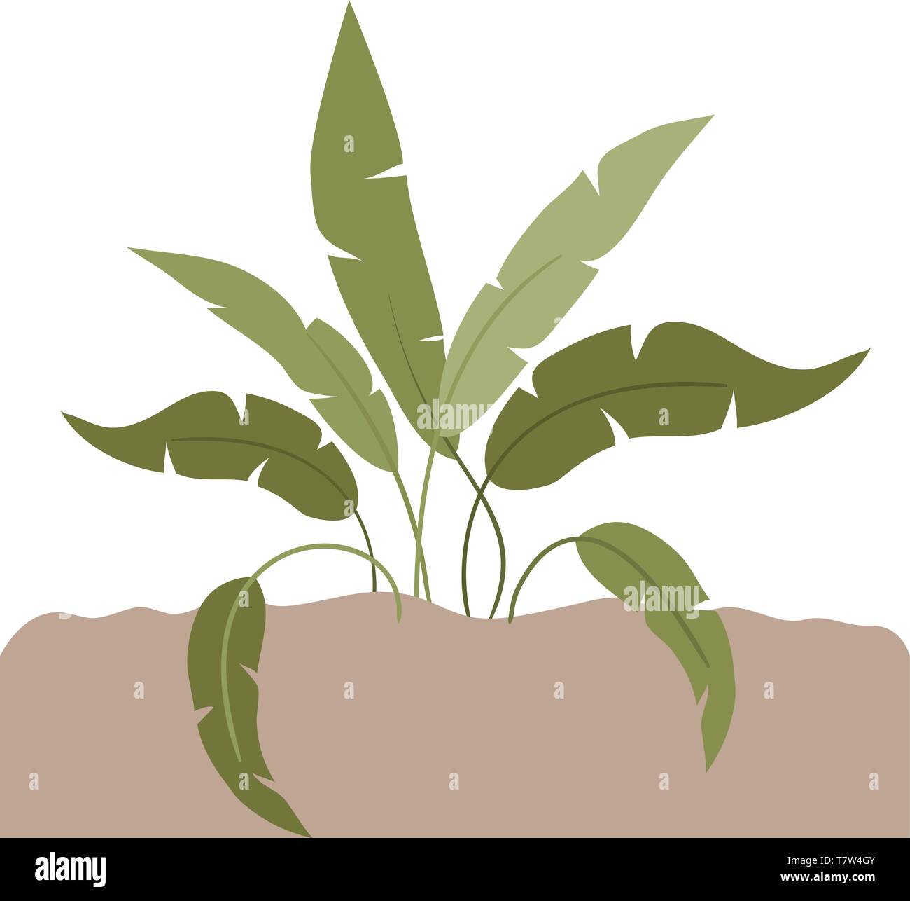 plant in landscape isolated icon Stock Vector Image & Art - Alamy