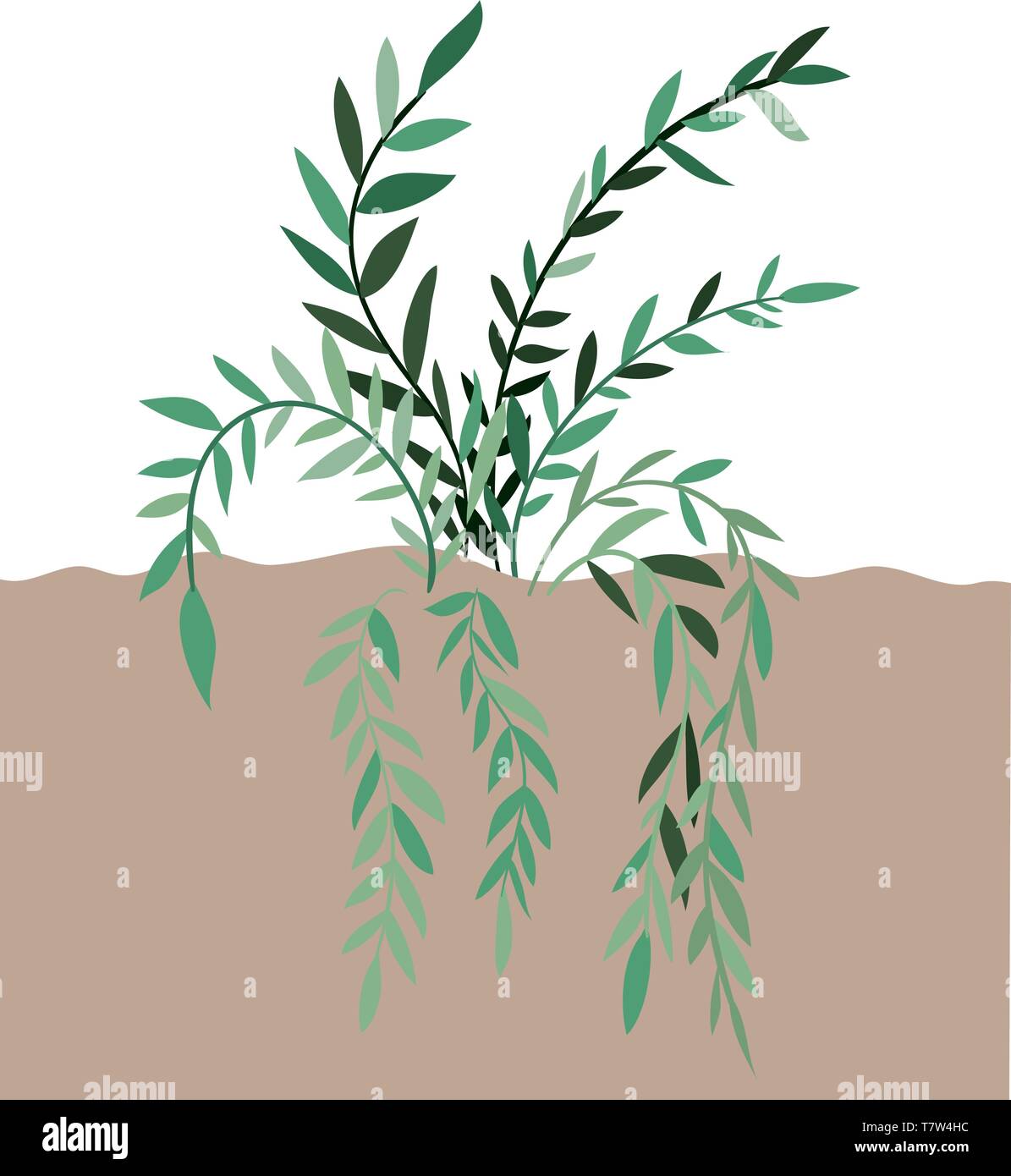plant in landscape isolated icon Stock Vector Image & Art - Alamy