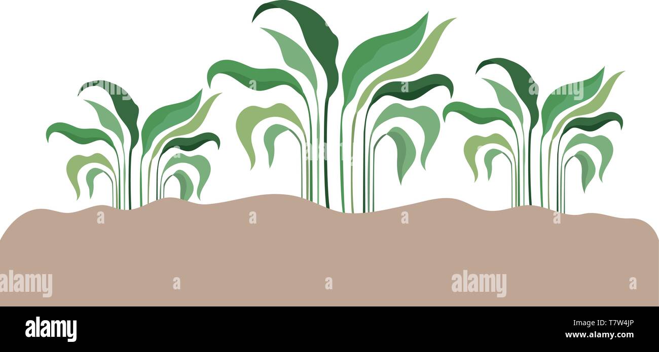 plant in landscape isolated icon Stock Vector Image & Art - Alamy
