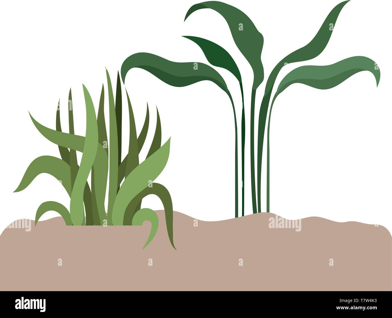 plant in landscape isolated icon Stock Vector Image & Art - Alamy