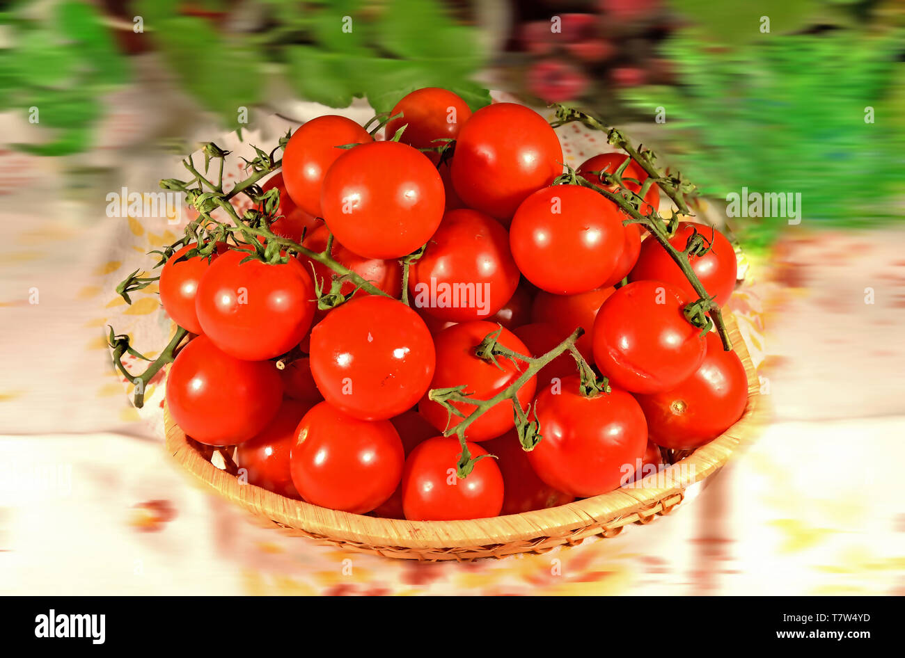 Tomato cherry placed in a knit wooden basket Stock Photo - Alamy