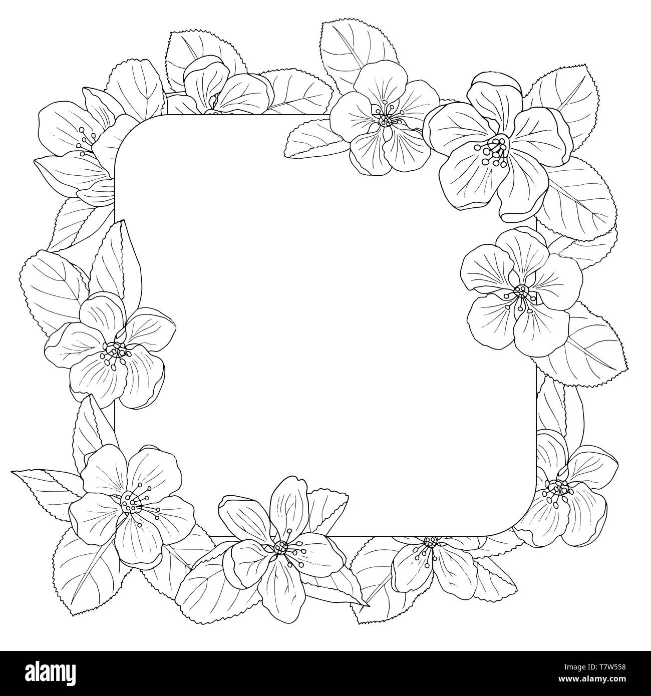 Beautiful Apple Blossom Frame Coloring Page For Adults And Children Stock Vector Image Art Alamy