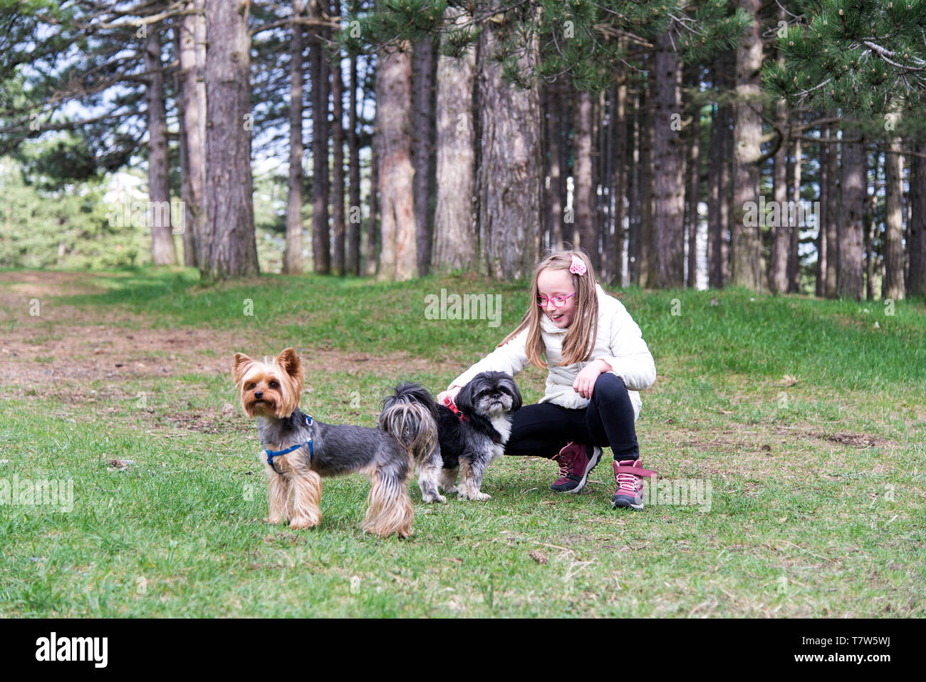 Girl with dogs in the park Stock Photo