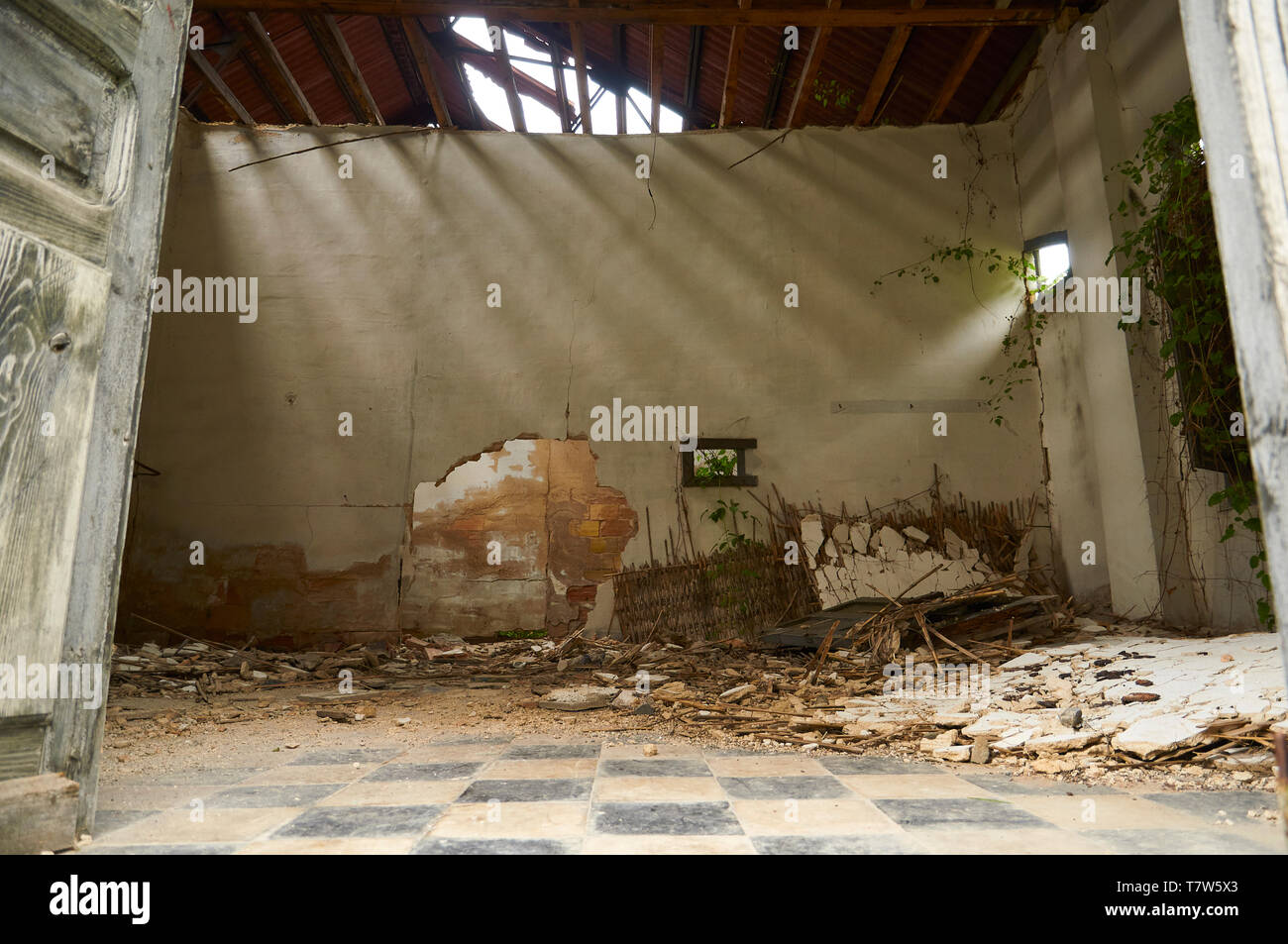 Interior of ruined facilities at the abandoned Canfranc International railway station taken over by plants (Canfranc, Pyrenees, Huesca, Aragon, Spain) Stock Photo