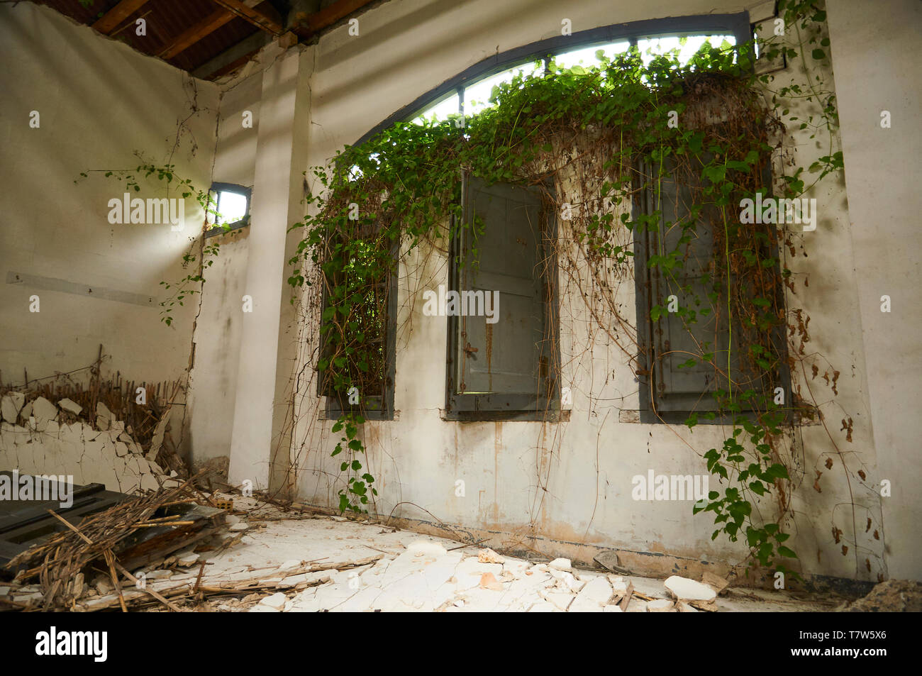 Interior of ruined facilities in the abandoned Canfranc International railway station taken over by plants (Canfranc, Pyrenees, Huesca, Aragon, Spain) Stock Photo