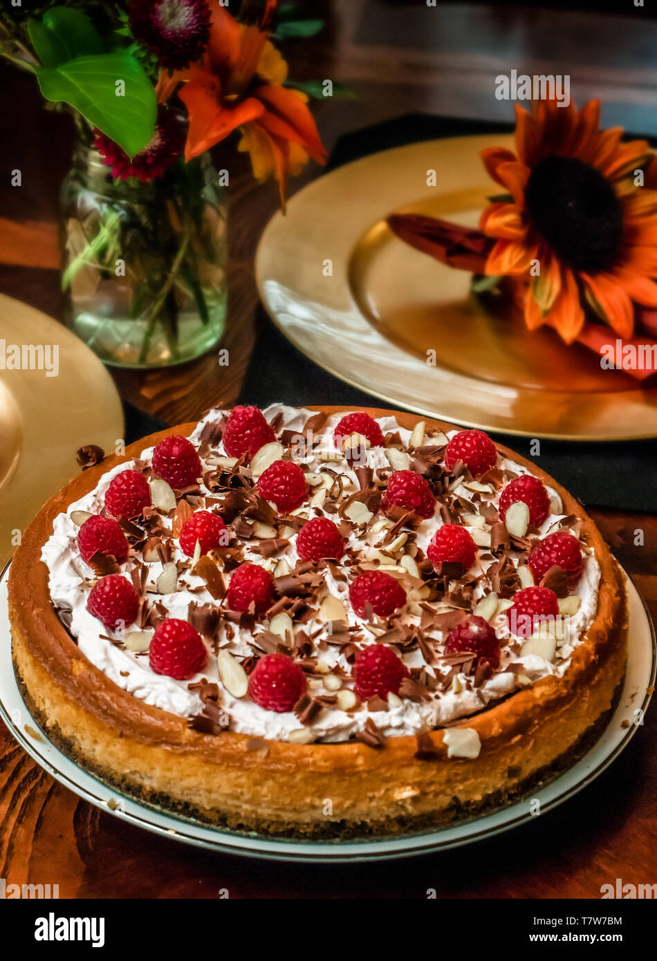 Raspberry chocolate cheesecake with whipped cream topping Stock Photo