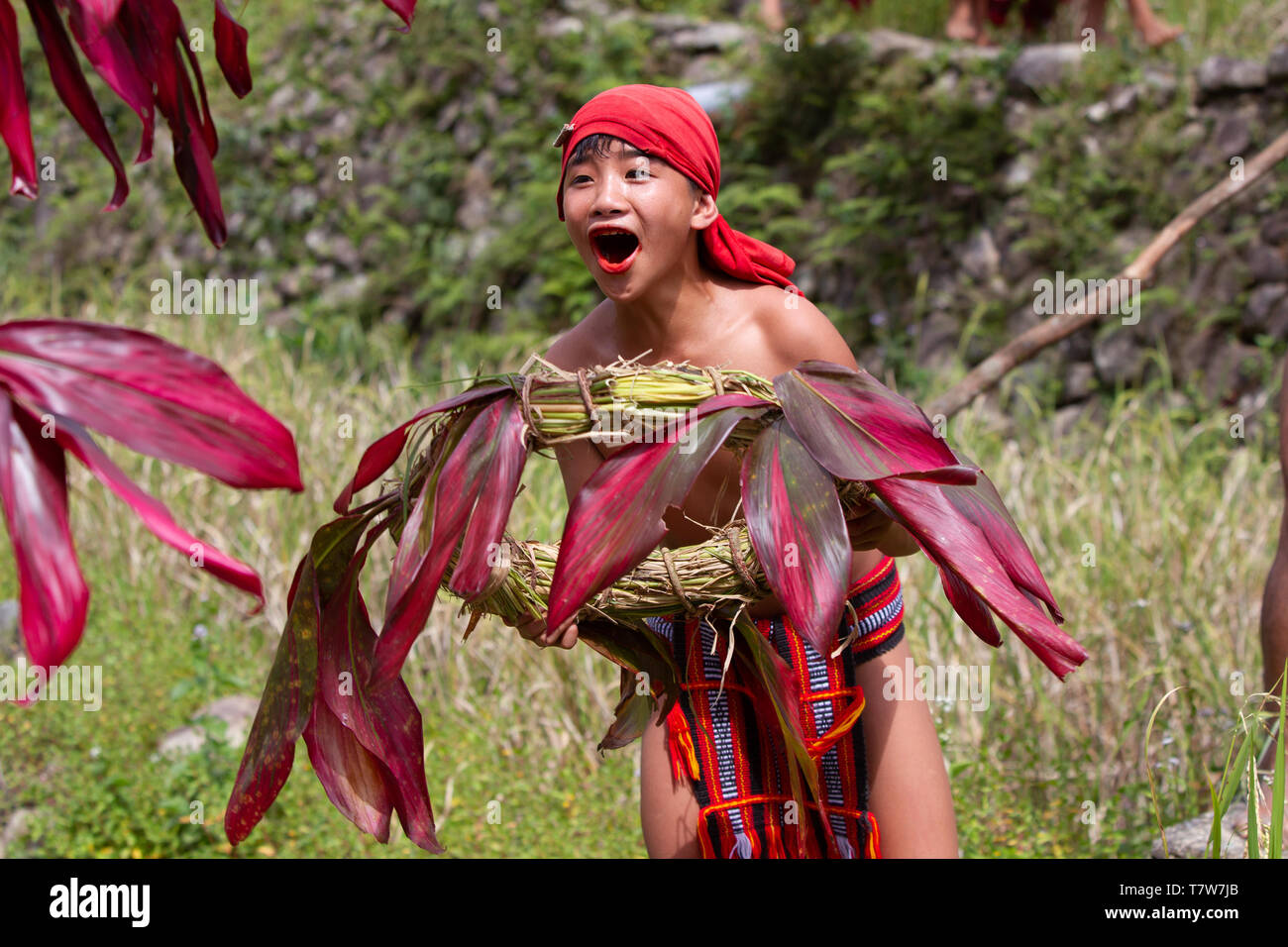 Hapao Rice festival,Banuae,Philippines Stock Photo Alamy