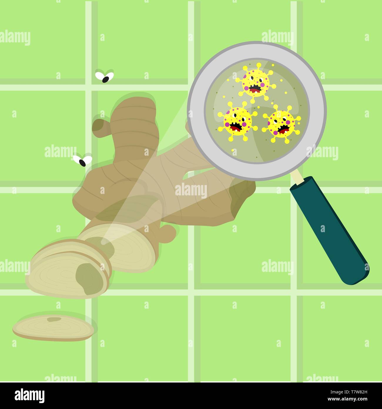 Sliced ginger bulb contaminated with cartoon microbes. Microorganisms, virus and bacteria in the vegetable enlarged by a magnifying glass. Angry micro Stock Vector