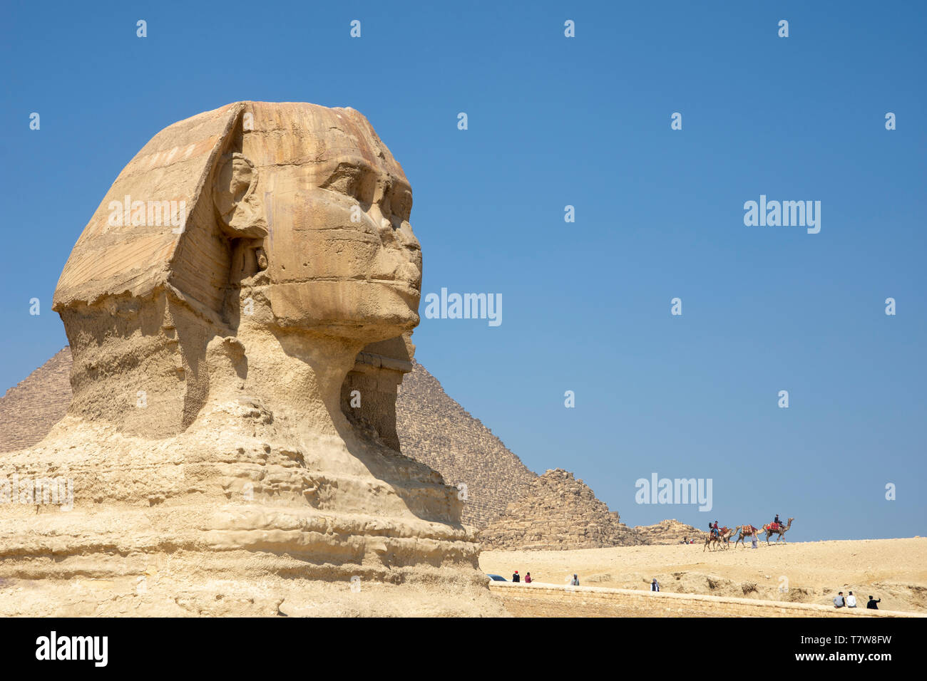 Visitors seem tiny as they pass near the Great Sphinx of Giza, said to have been created around 2500 BCE for Pharaoh Khafra. Stock Photo