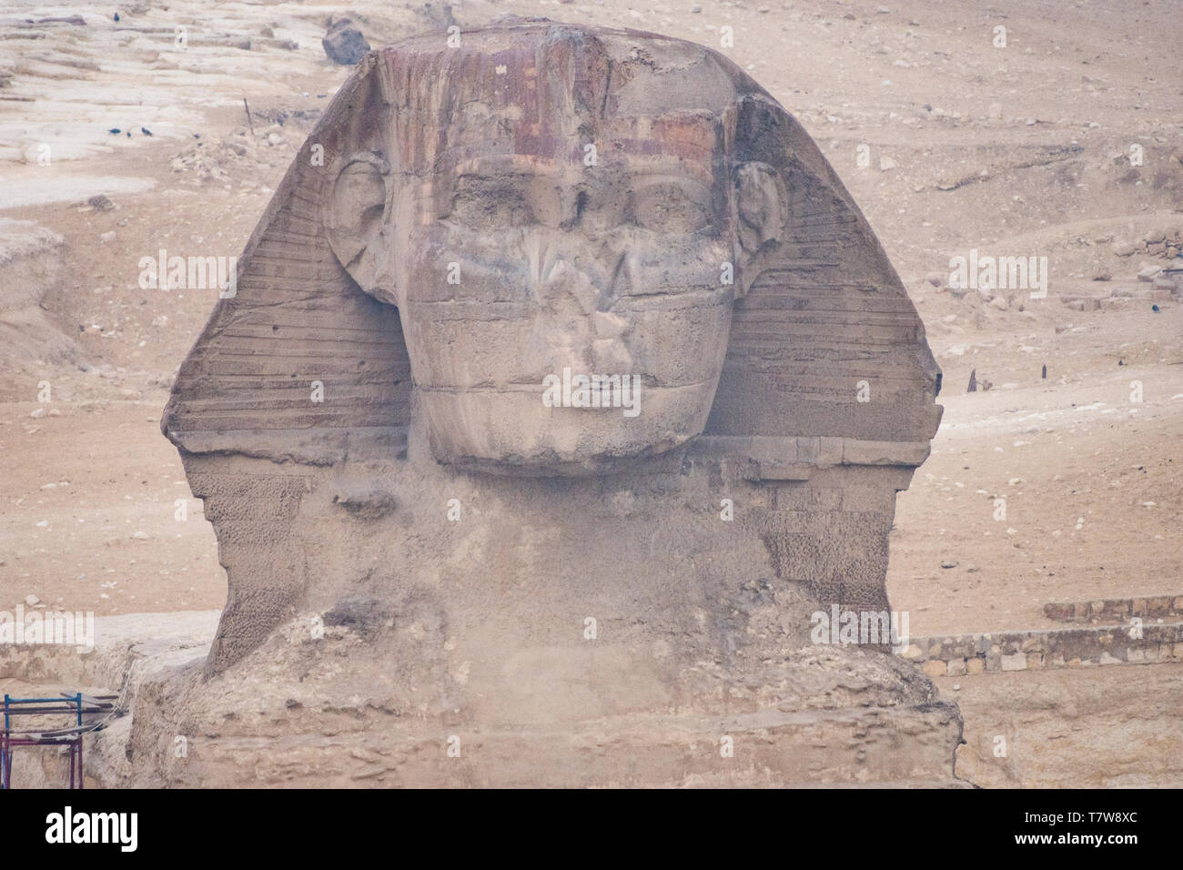 Traces of 4,000 year-old paint are still visible on the Great Sphinx of Giza.  The colossal statue is said to have been created around 2500 BCE. Stock Photo