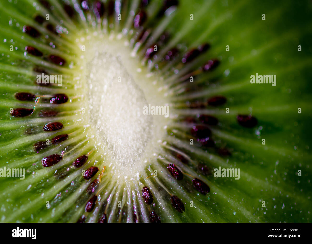 Kiwi Stock Photo