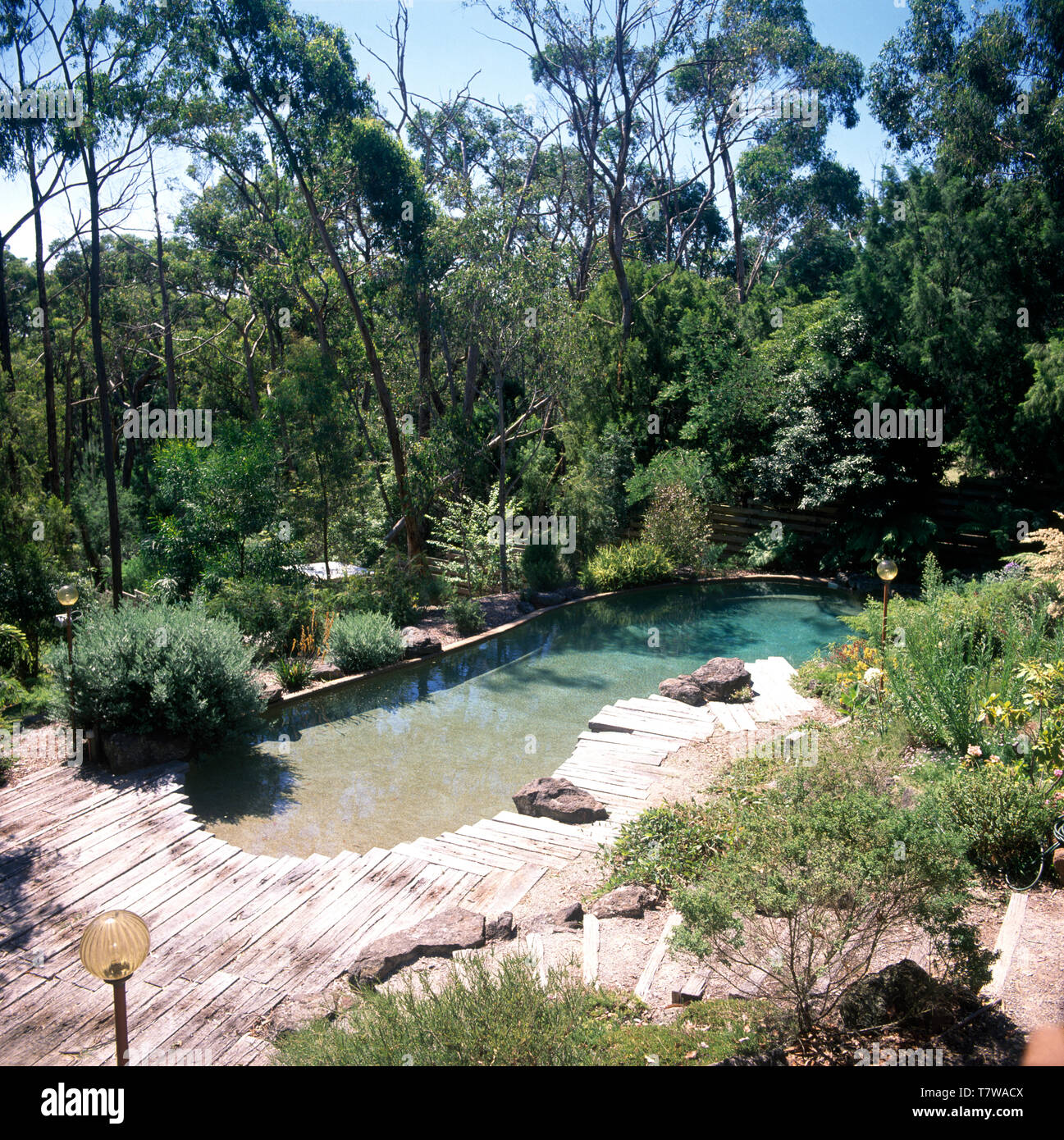 Domestic swimming pool australia hi-res stock photography and images ...