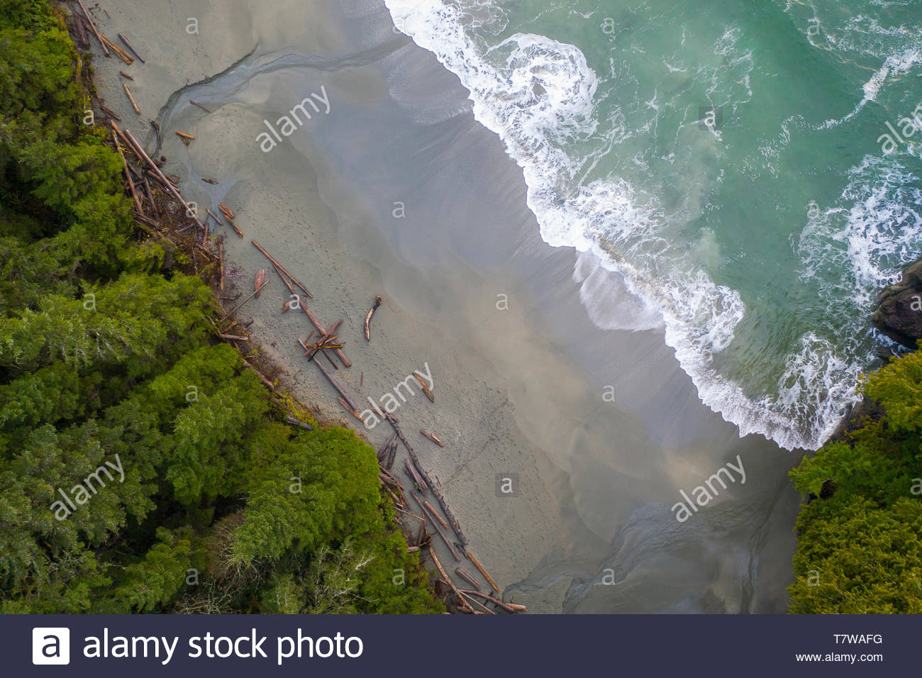 Drone point of view rugged ocean beach, British Columbia, Canada Stock Photo