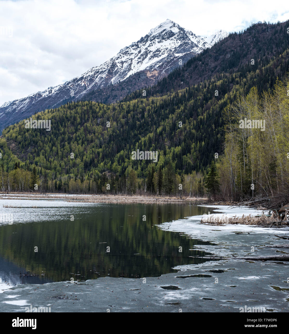Alaska reflections in springtime Stock Photo