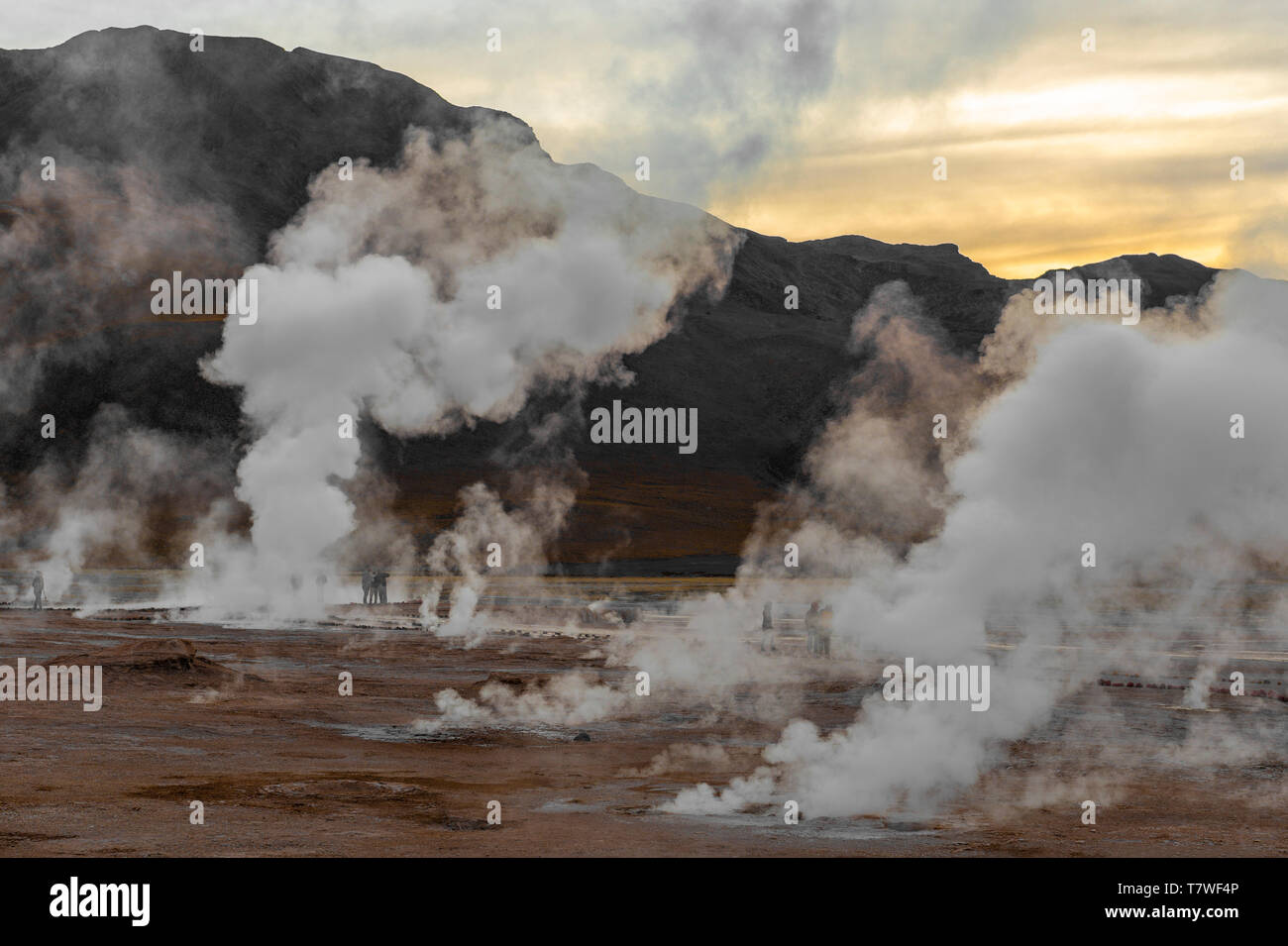 The silhouette of unrecognizable tourists walking through the water vapor of the Tatio Geyser Field, the highest in the world, Atacama Desert, Chile. Stock Photo
