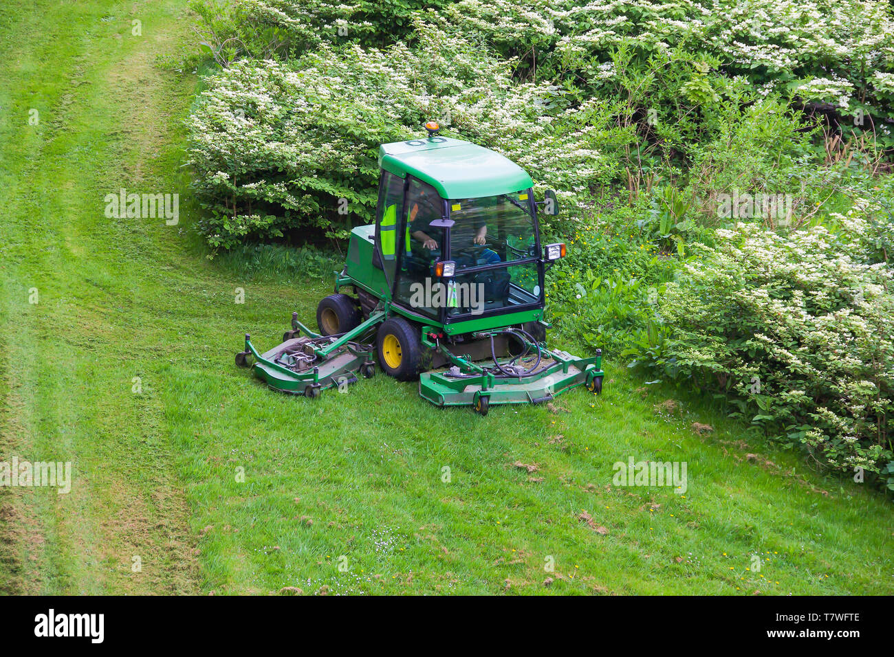 A riding commercial landscaper of a community or city services on the big lawn mower cutting the grass Stock Photo