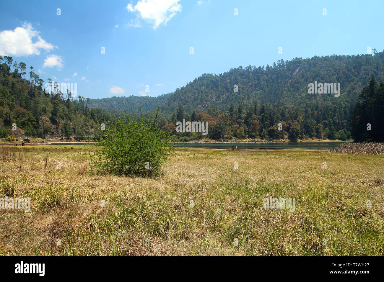 Lagunas de Zempoala National Park in Morelos, Mexico Stock Photo Alamy
