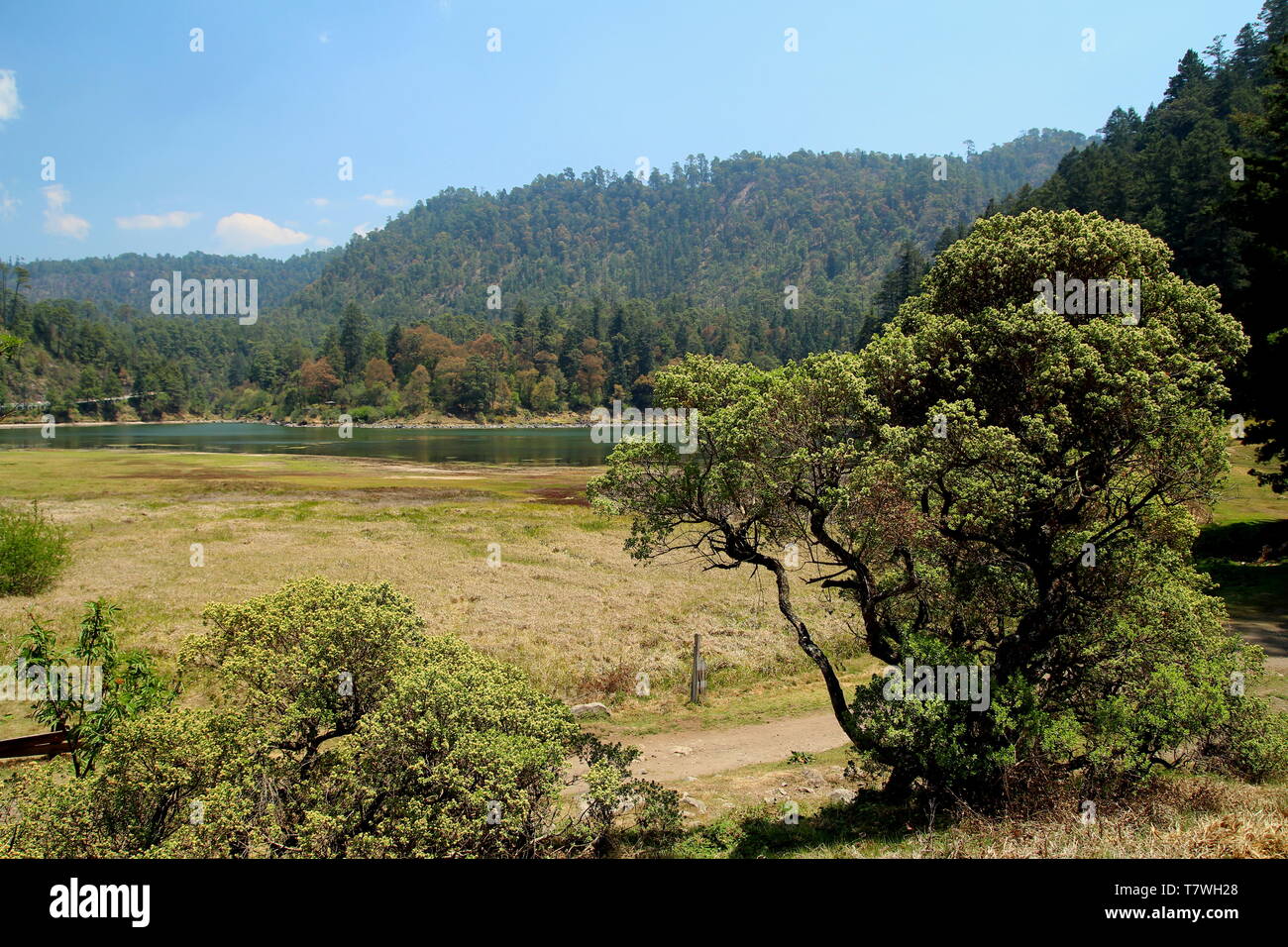Lagunas de Zempoala National Park in Morelos, Mexico Stock Photo Alamy
