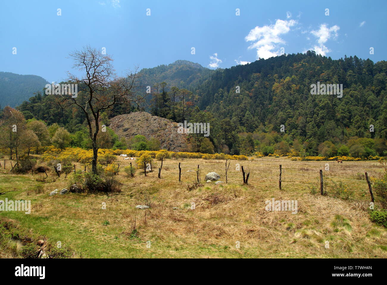 Lagunas de Zempoala National Park in Morelos, Mexico Stock Photo Alamy