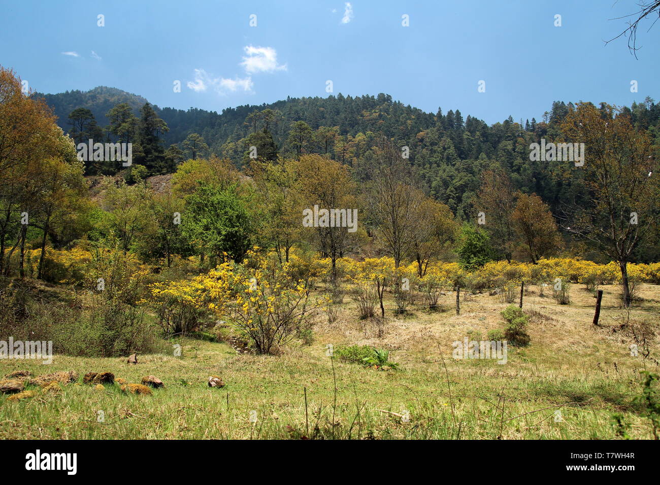 Lagunas de zempoala national park hires stock photography and images