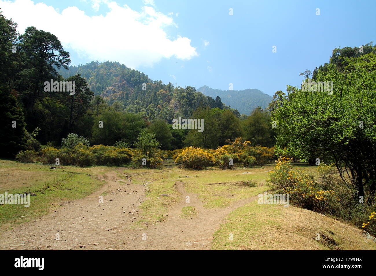 Lagunas de Zempoala National Park in Morelos, Mexico Stock Photo Alamy