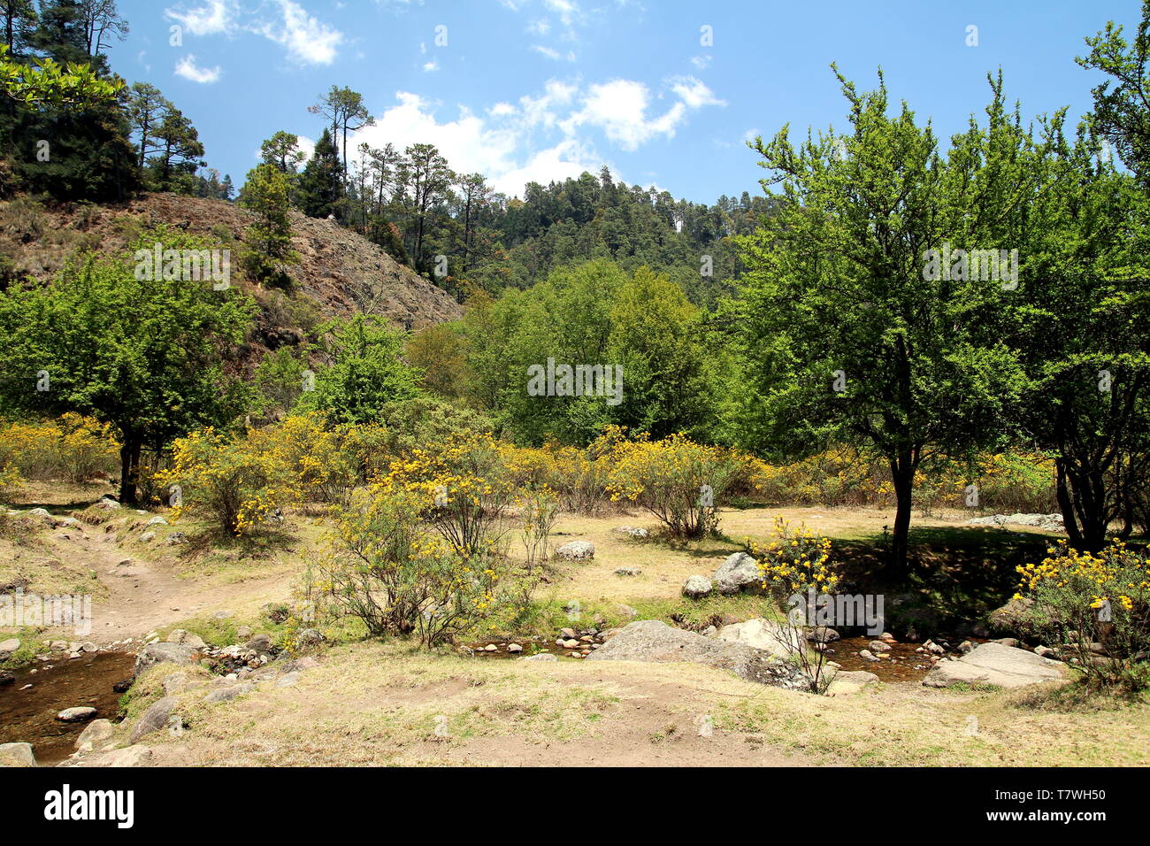 Lagunas de Zempoala National Park in Morelos, Mexico Stock Photo Alamy