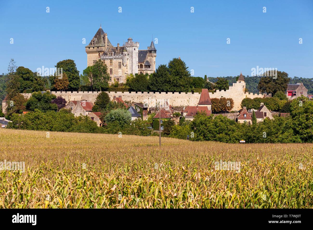 France, Dordogne, Dordogne Valley, Black Perigord, Vitrac, Chateau de Montfort Stock Photo
