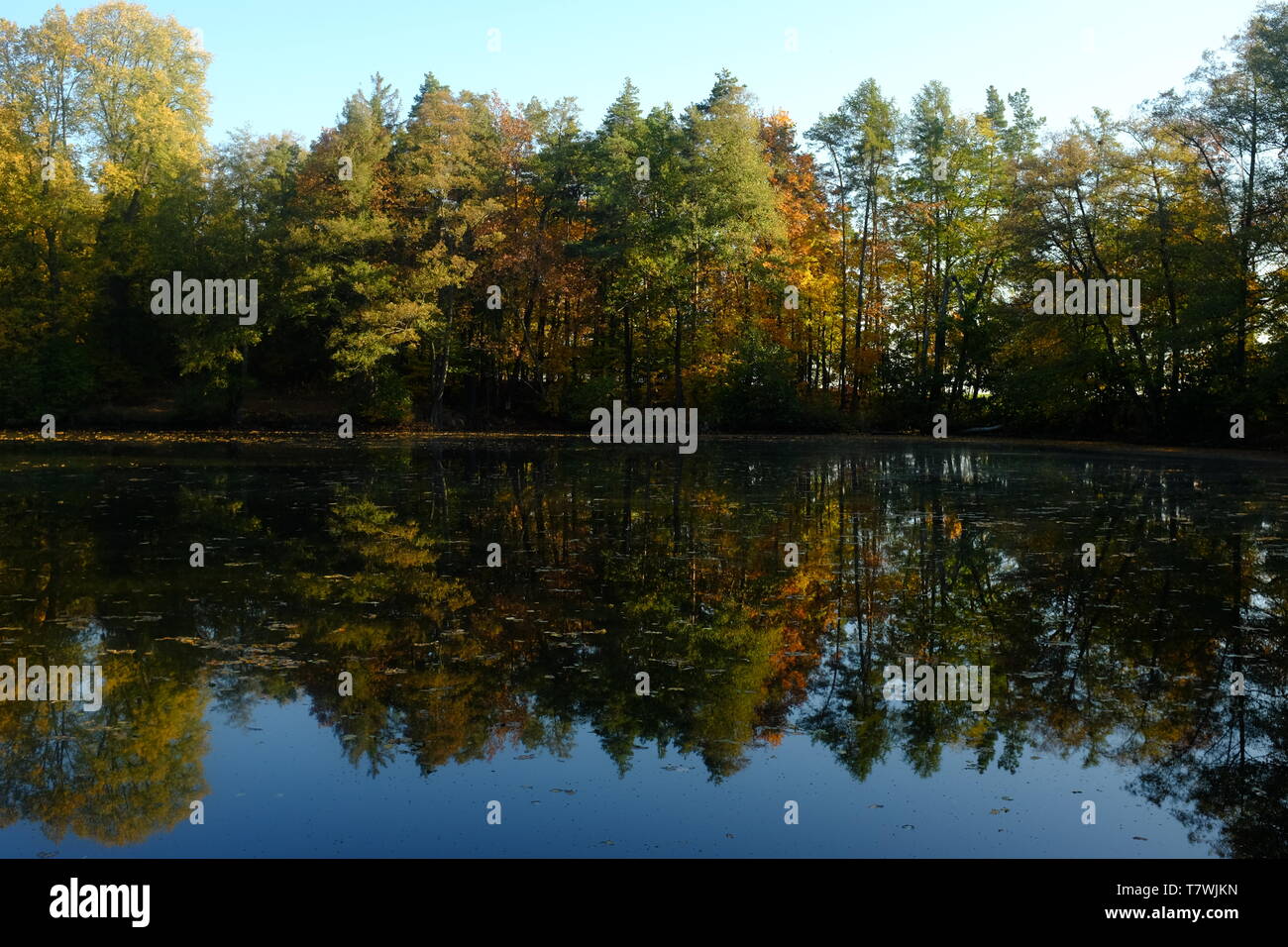 Autumn landscape with a reflection in the lake Stock Photo - Alamy