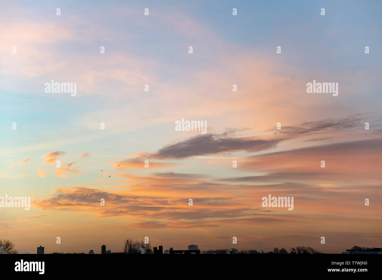 Portrait view of an early morning sky with tin and small clouds lighted by  the vivid morning sunrise at the horizon Stock Photo - Alamy, image size:1300x956