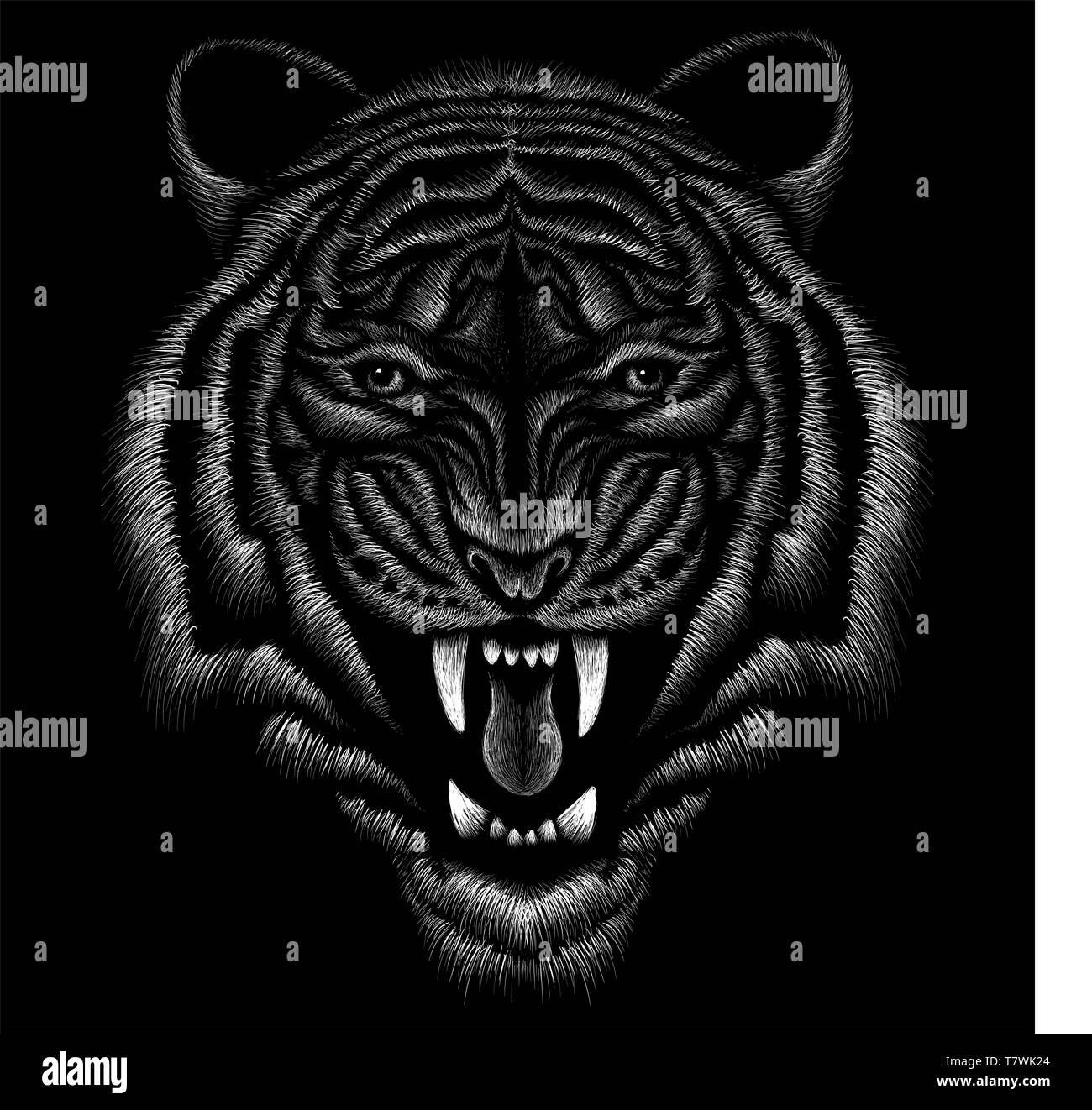 Black tiger Black and White Stock Photos & Images - Alamy