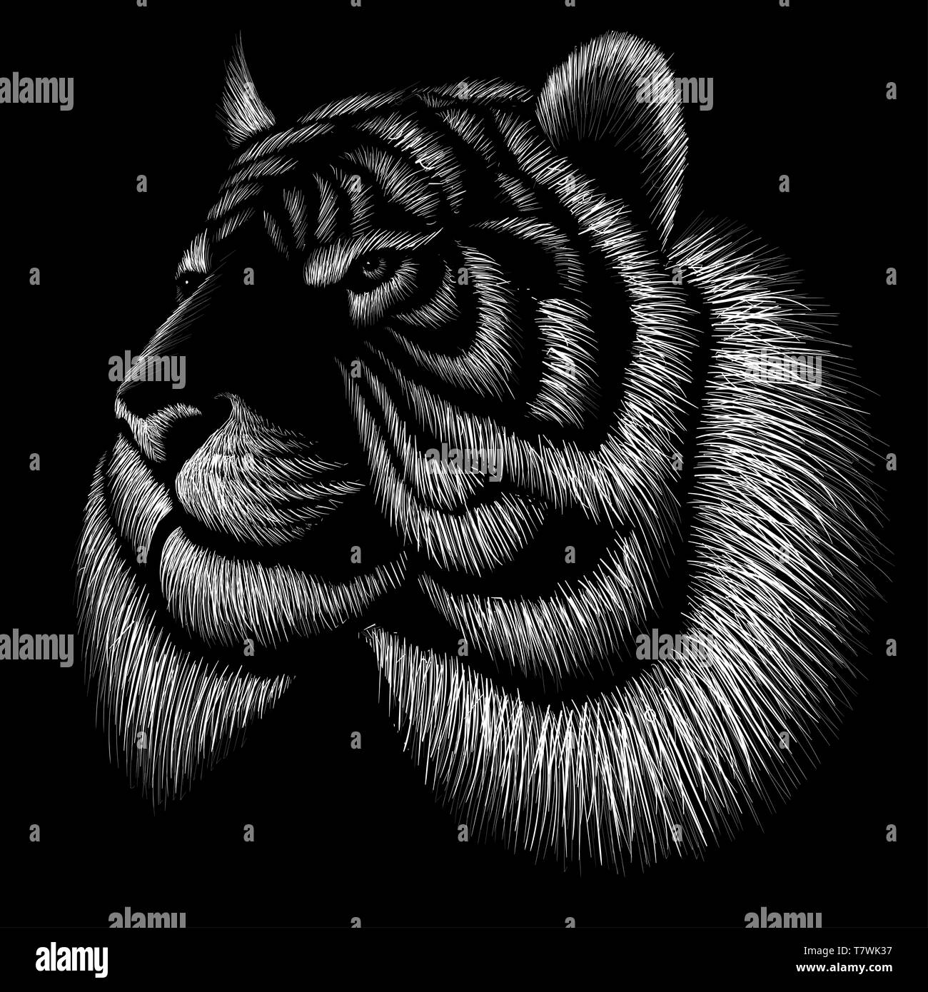 The Vector logo tiger for tattoo or T-shirt design or outwear.  Hunting style tigers print on black background. Stock Photo