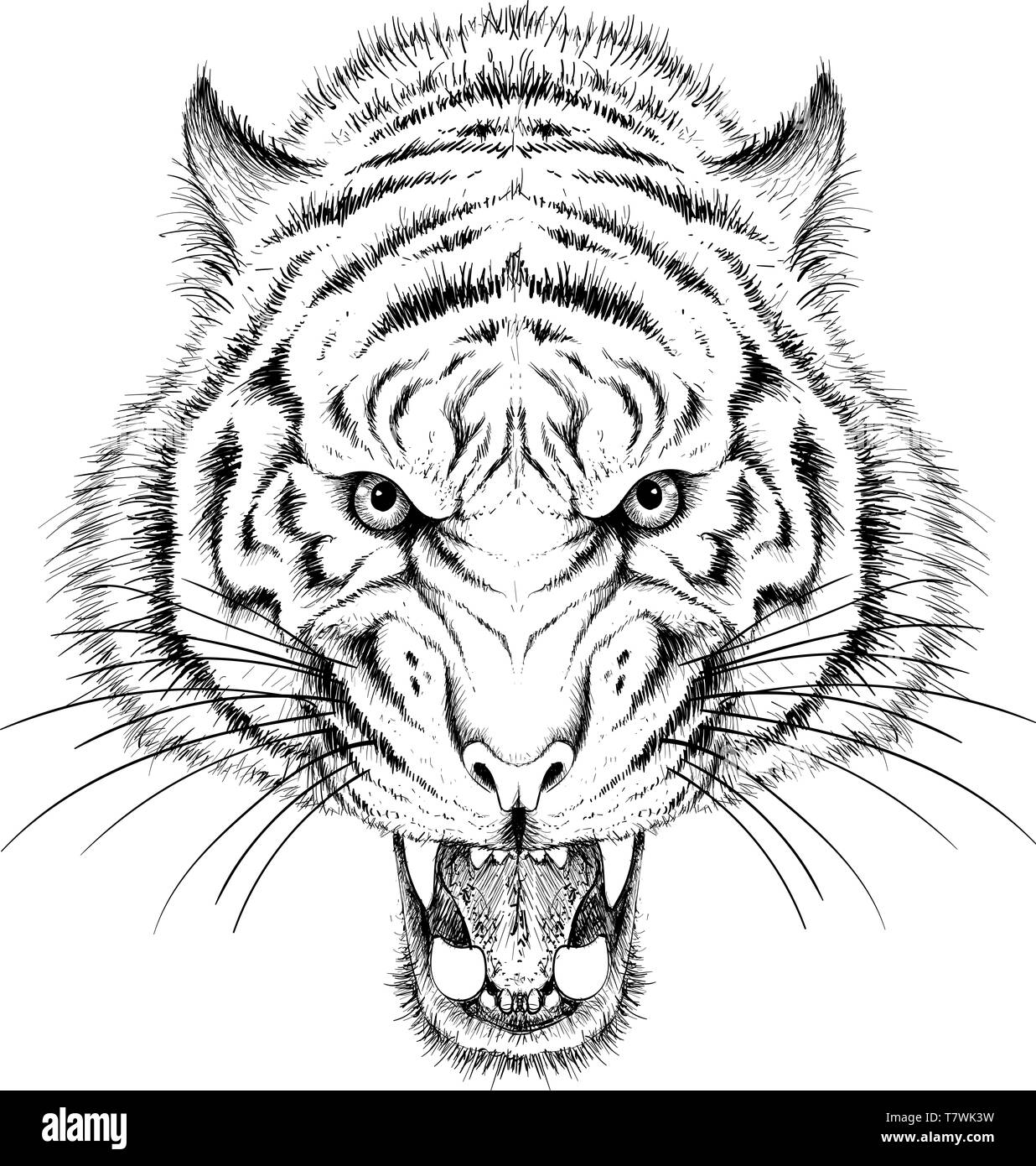 The Vector logo tiger for tattoo or T-shirt design or outwear. Hunting  style tigers print on black background Stock Photo - Alamy