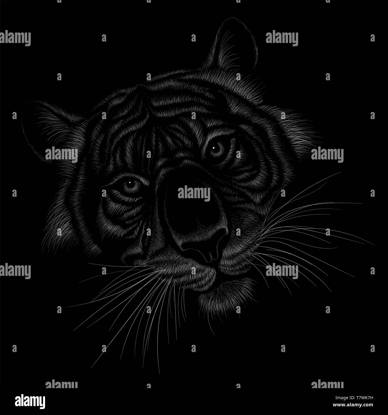 Lion Hunting Night High Resolution Stock Photography And Images Alamy Lion Hunting Night High Resolution Stock Photography And Images Alamy