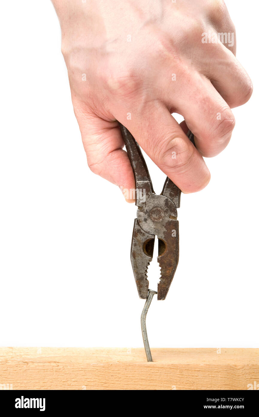 Pulling a nail with pliers. Isolated on white Stock Photo Alamy