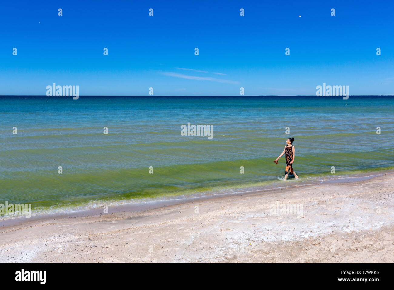 Canada, Province of Ontario, Prince Edward County, Sandbanks Provincial
